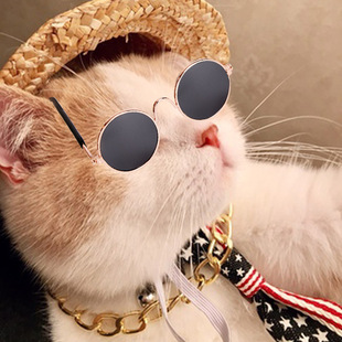 Factory Wholesale New Pet Hat Dog Cowboy Hat Triangular Binder Suit Headgear Cat Funny Headdress