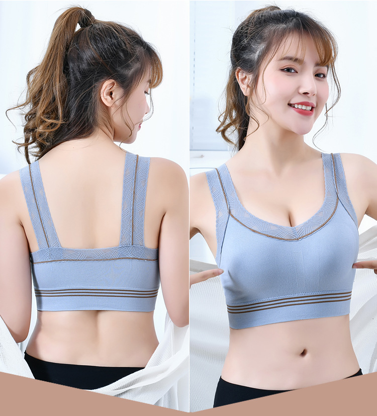 Lace Beautiful Back Sling Online Popular Vest Push-up Bra Base Tube Top Tube Top Anti-Slip Underwear for Women Lace Beautiful Back Sling Online Popular Vest Push-up Bra Base Tube Top Tube Top Anti-Slip Underwear for Women
