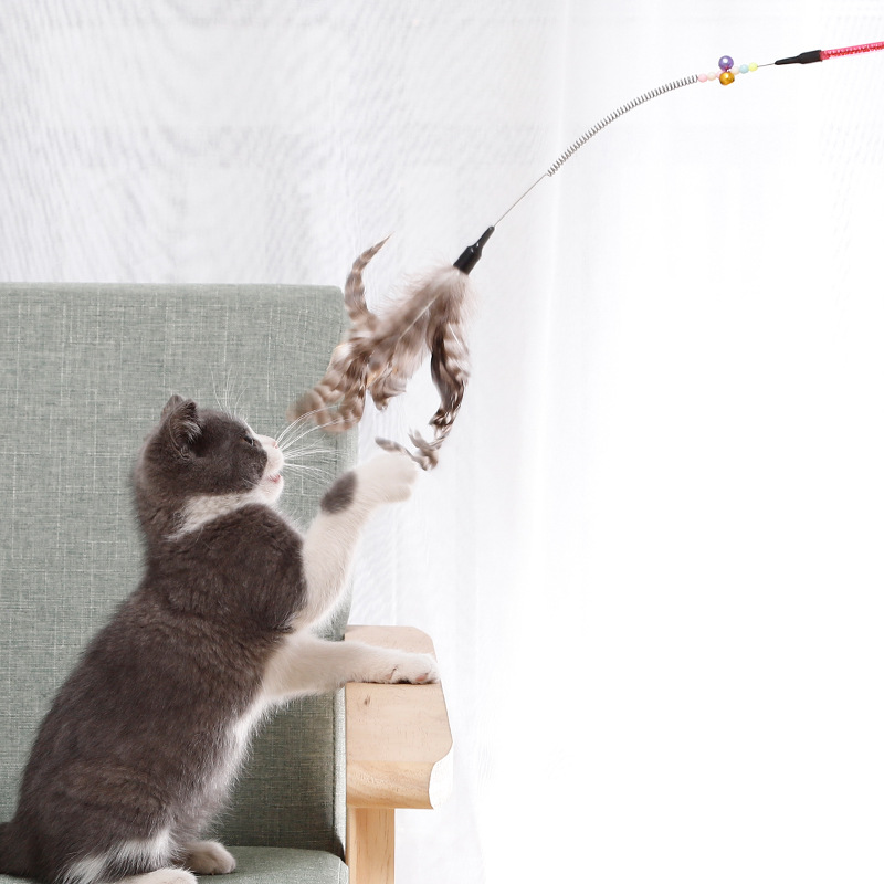 In Stock Wholesale Bags Cat Toy Acrylic Color Stripes Tube + Striped Feather Spring Cat Teaser