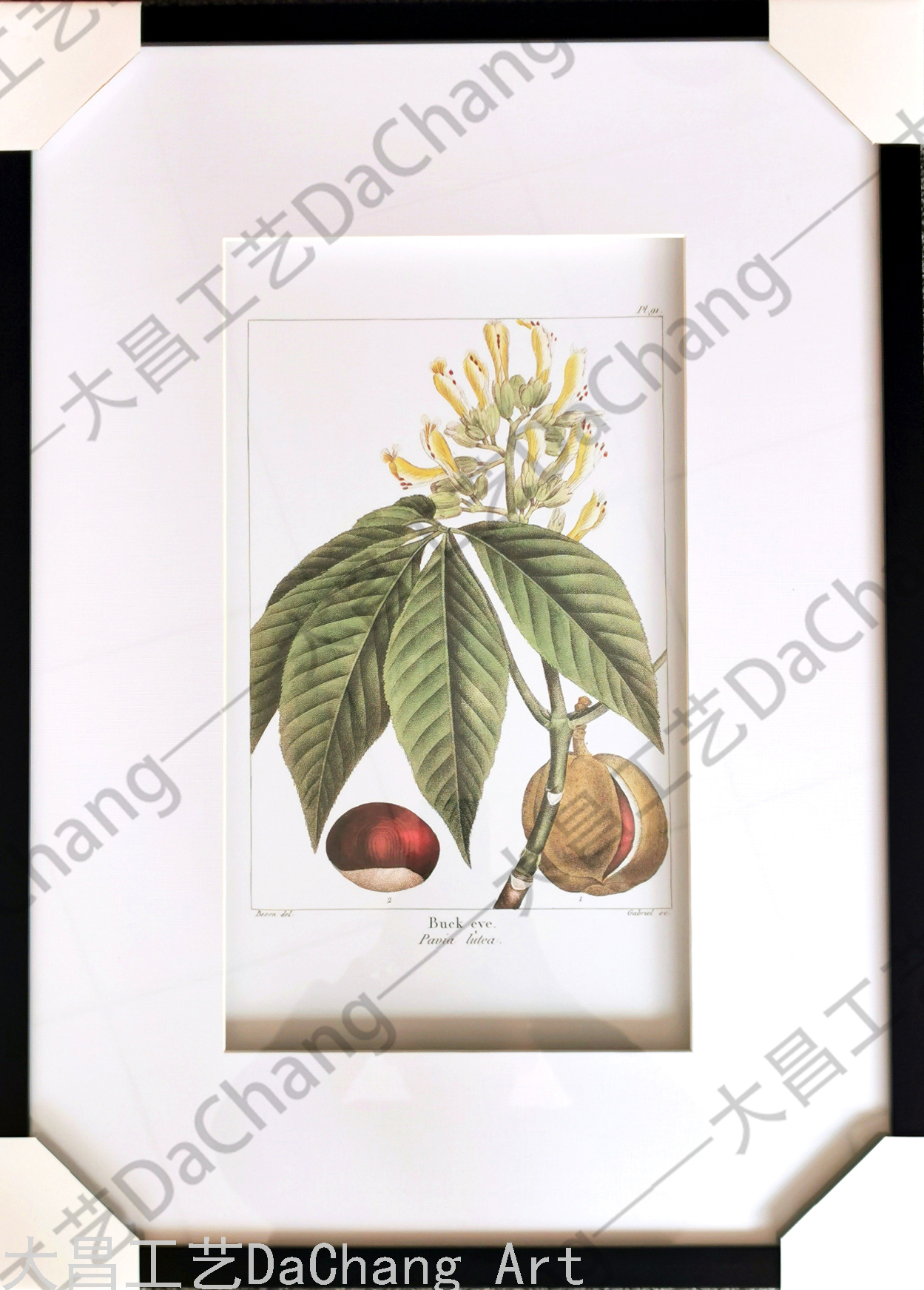 Decorative Painting Three-Dimensional Cardboard Painting Photo Frame Hallway Plant Flower Modern Corridor Aisle Decorative Hanging Painting High-End Entry Lux