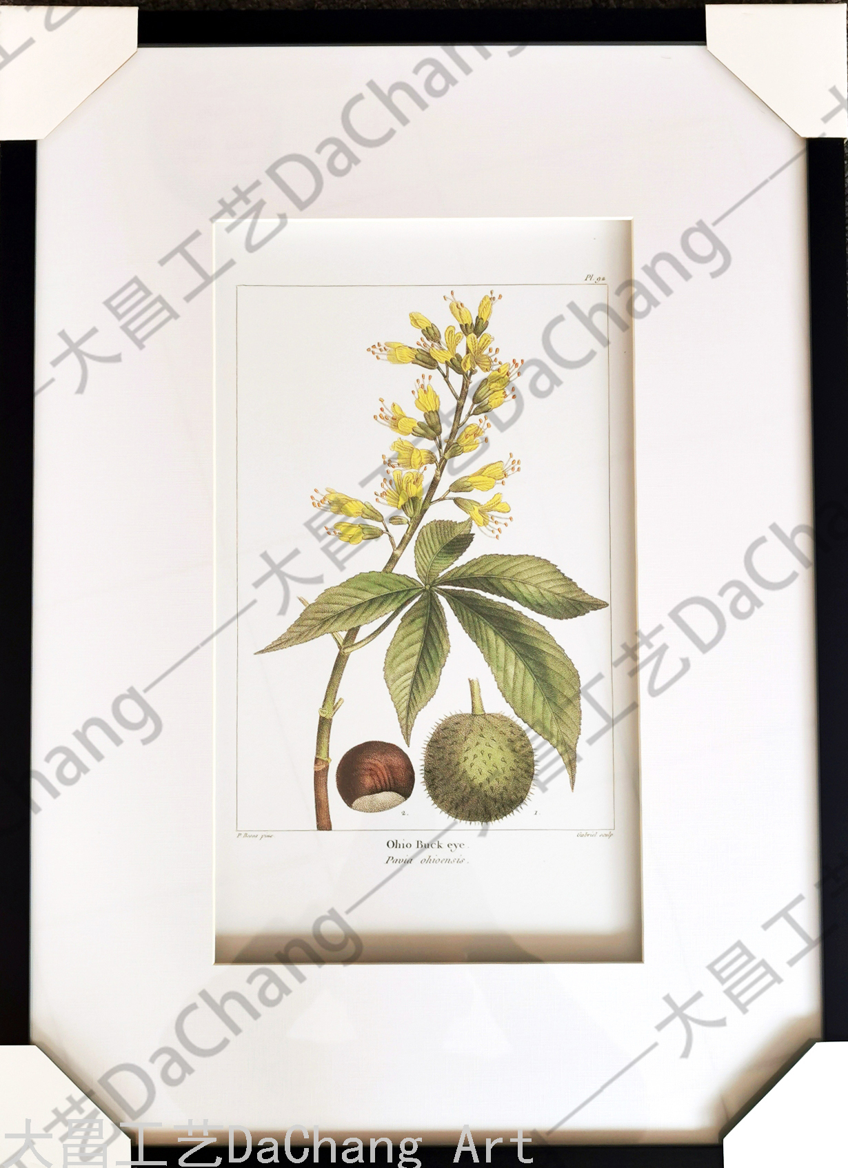 Decorative Painting Three-Dimensional Cardboard Painting Photo Frame Hallway Plant Flower Modern Corridor Aisle Decorative Hanging Painting High-End Entry Lux