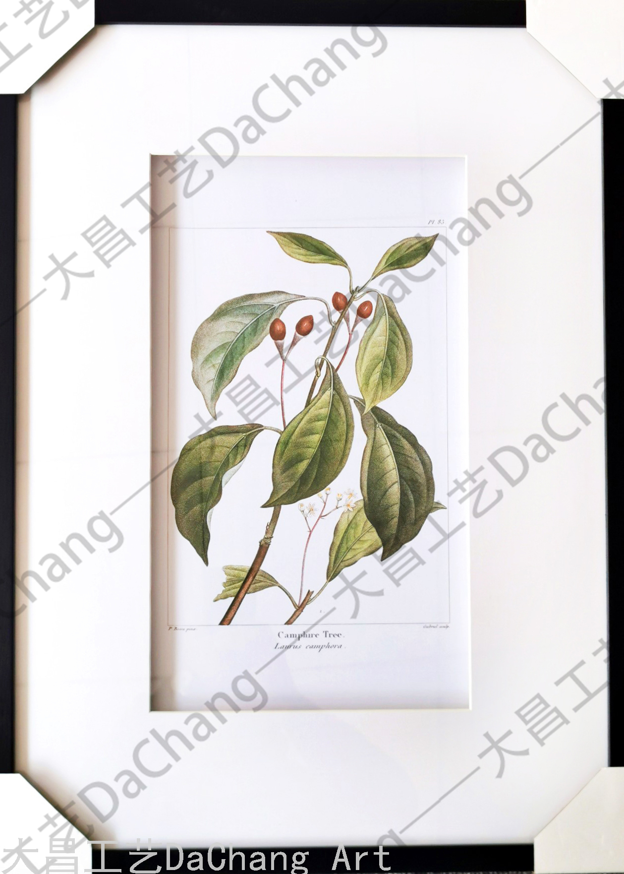 Decorative Painting Three-Dimensional Cardboard Painting Photo Frame Hallway Plant Flower Modern Corridor Aisle Decorative Hanging Painting High-End Entry Lux