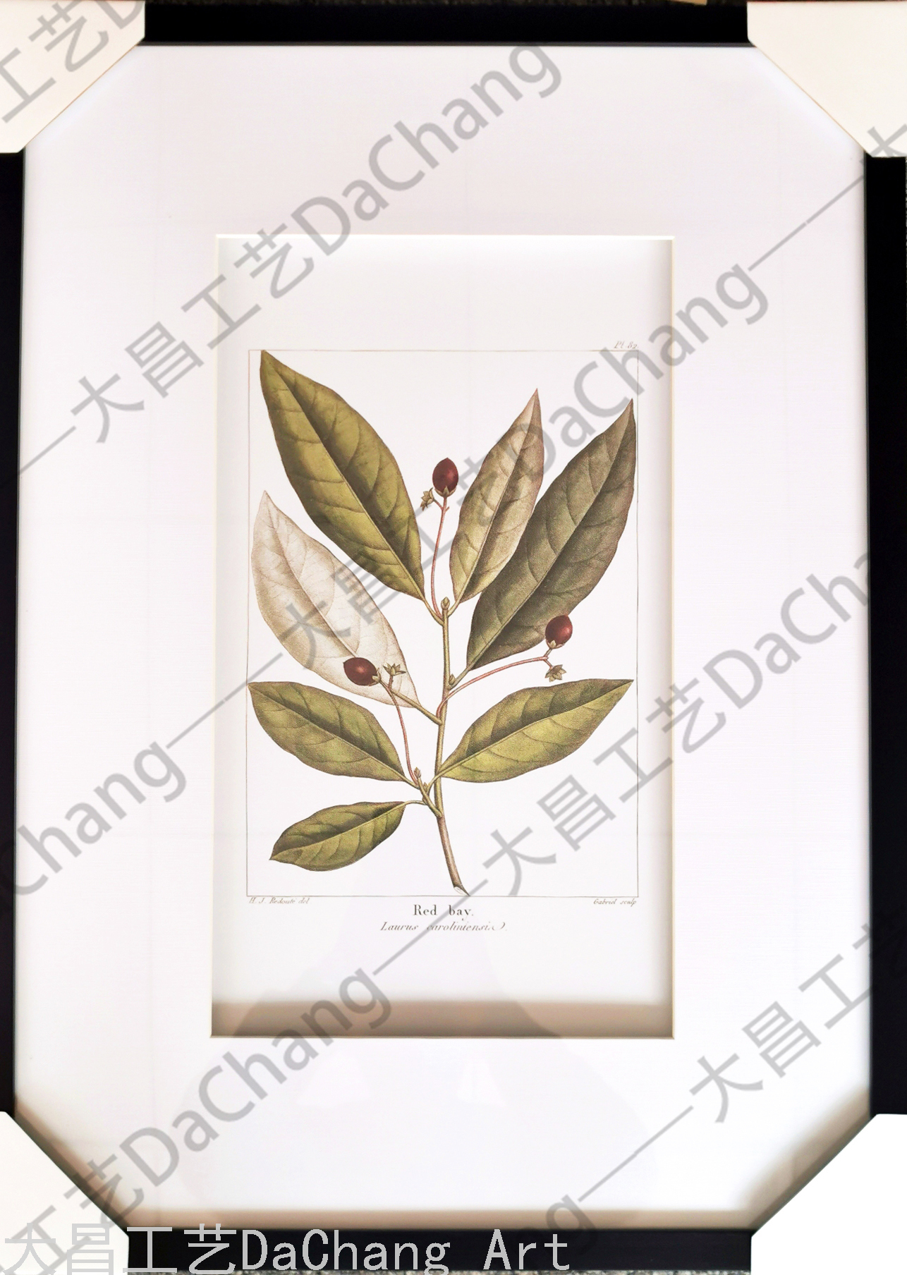 Decorative Painting Three-Dimensional Cardboard Painting Photo Frame Hallway Plant Flower Modern Corridor Aisle Decorative Hanging Painting High-End Entry Lux