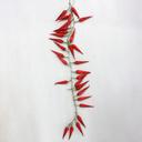 Simulation simulation of pepper vines and vegetables fruits and vine the vine flower home decor canes