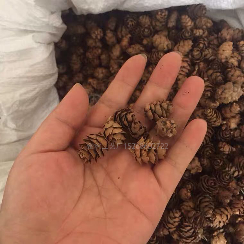 Mini Decorative Pinecone Pine Cones Pinecone For Christmas Tree Toppers Vase Bowl Filler Displays Crafts Home Decor
