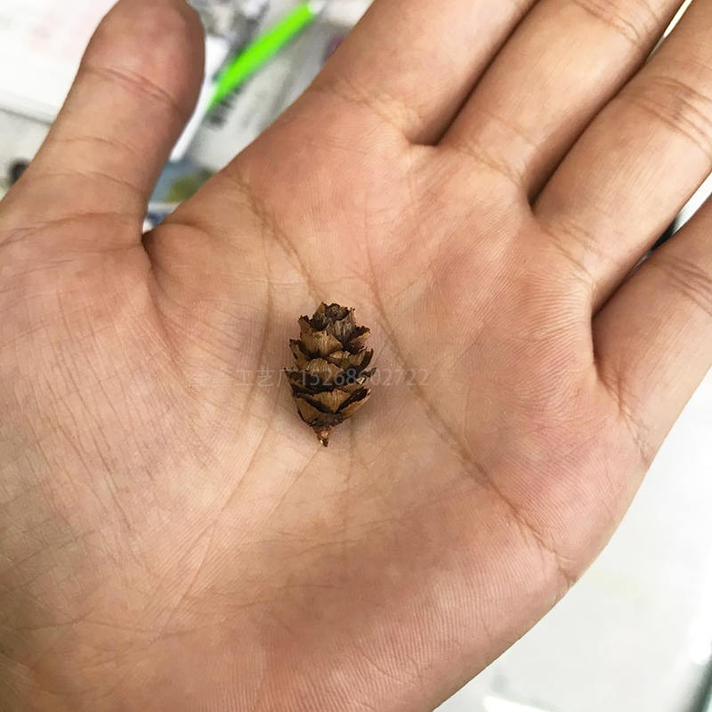 Mini Decorative Pinecone Pine Cones Pinecone For Christmas Tree Toppers Vase Bowl Filler Displays Crafts Home Decor
