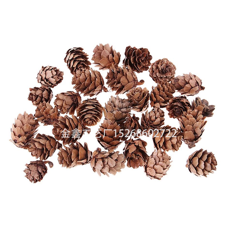 Mini Decorative Pinecone Pine Cones Pinecone For Christmas Tree Toppers Vase Bowl Filler Displays Crafts Home Decor