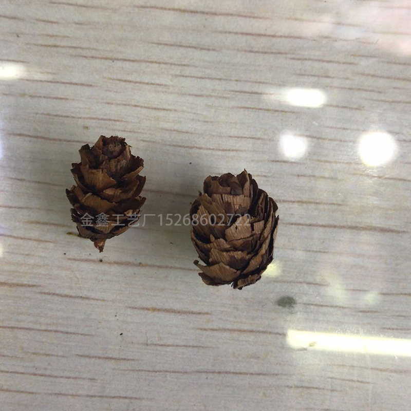 Mini Decorative Pinecone Pine Cones Pinecone For Christmas Tree Toppers Vase Bowl Filler Displays Crafts Home Decor