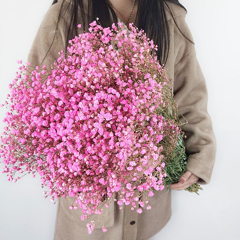 Yunnan Factory Direct Supply Dried Flowers Gypsophila Home Decor Floriculture Decoration Place of Origin Wholesale