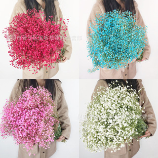 Yunnan Factory Direct Supply Dried Flowers Gypsophila Home Decor Floriculture Decoration Place of Origin Wholesale