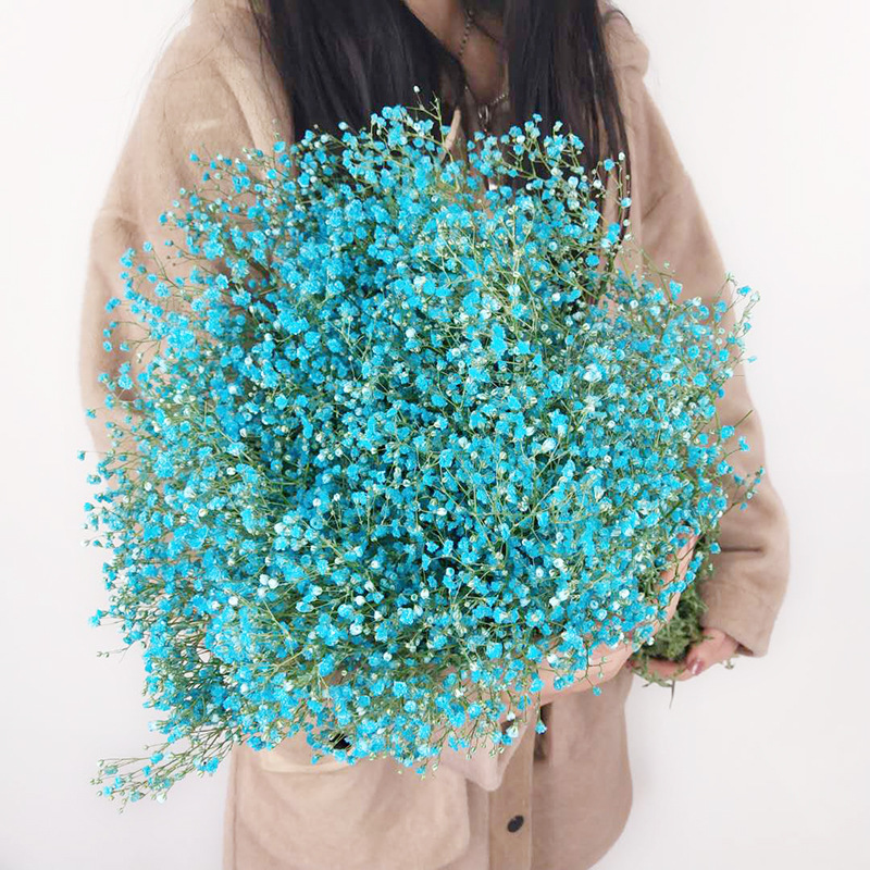 Yunnan Factory Direct Supply Dried Flowers Gypsophila Home Decor Floriculture Decoration Place of Origin Wholesale