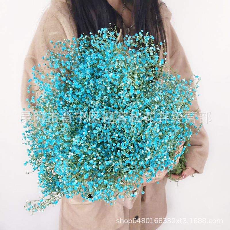 Yunnan Factory Direct Supply Dried Flowers Gypsophila Home Decor Floriculture Decoration Place of Origin Wholesale
