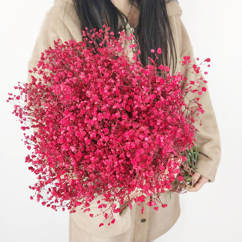 Yunnan Factory Direct Supply Dried Flowers Gypsophila Home Decor Floriculture Decoration Place of Origin Wholesale