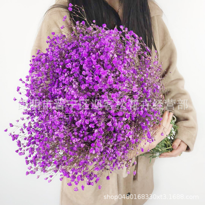 Yunnan Factory Direct Supply Dried Flowers Gypsophila Home Decor Floriculture Decoration Place of Origin Wholesale