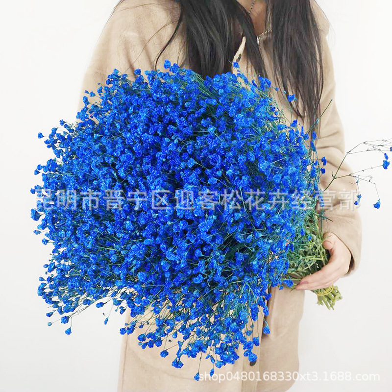 Yunnan Factory Direct Supply Dried Flowers Gypsophila Home Decor Floriculture Decoration Place of Origin Wholesale