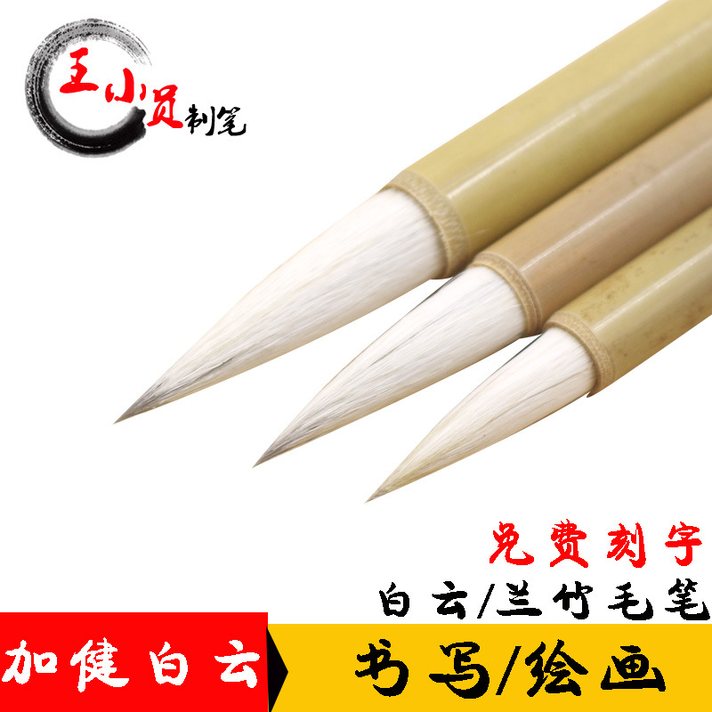 Calligraphy Class Class Writing Brush plus Jianda Baiyun Doubled Both Writing Brush Student Writing Practice Chinese Painting Orchid Bamboo Weasel&#039;s Hair Wholesale