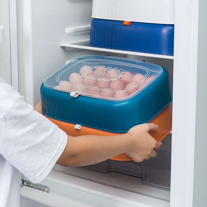Factory Wholesale Refrigerator Egg Storage Box Storage Box Drop-Resistant Fresh-Keeping Kitchen Egg Shelf Egg Carton Plastic Flip Type