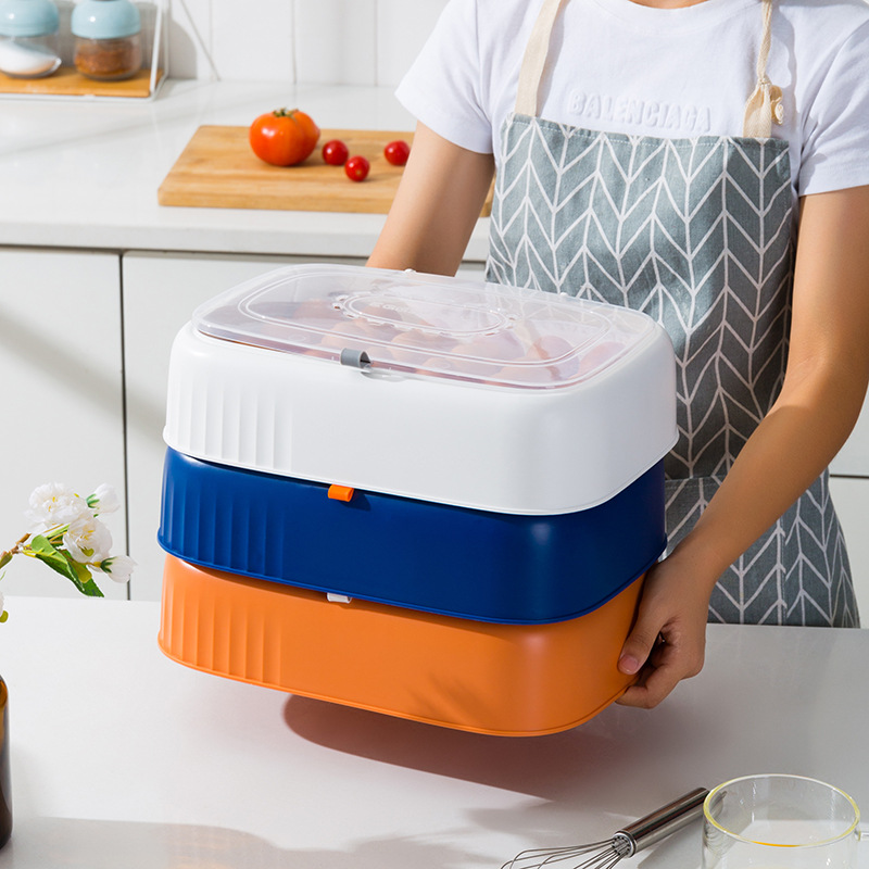 Factory Wholesale Refrigerator Egg Storage Box Storage Box Drop-Resistant Fresh-Keeping Kitchen Egg Shelf Egg Carton Plastic Flip Type