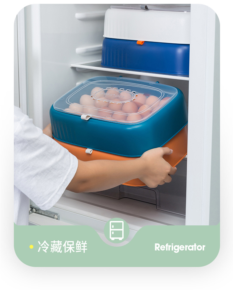 Factory Wholesale Refrigerator Egg Storage Box Storage Box Drop-Resistant Fresh-Keeping Kitchen Egg Shelf Egg Carton Plastic Flip Type