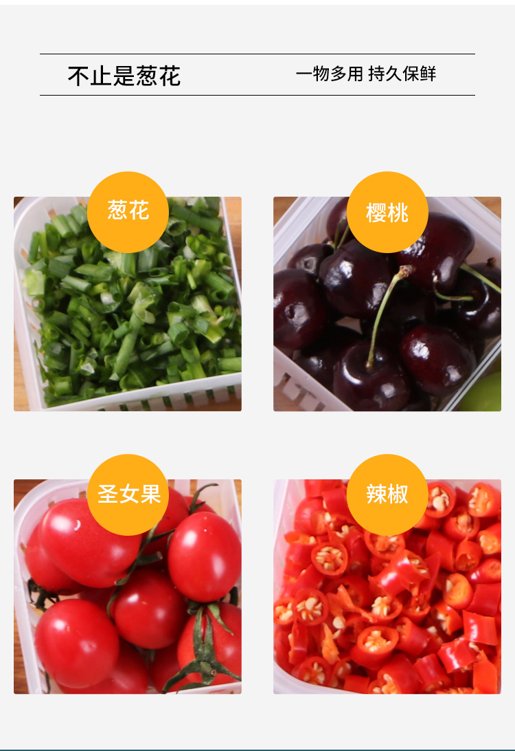 Four Grids with Lid Chopped Green Onion Ginger Slice Garlic Fresh-Keeping Box Refrigerator Fruit Vegetable Storage Kitchen Draining Storage Box with Lid