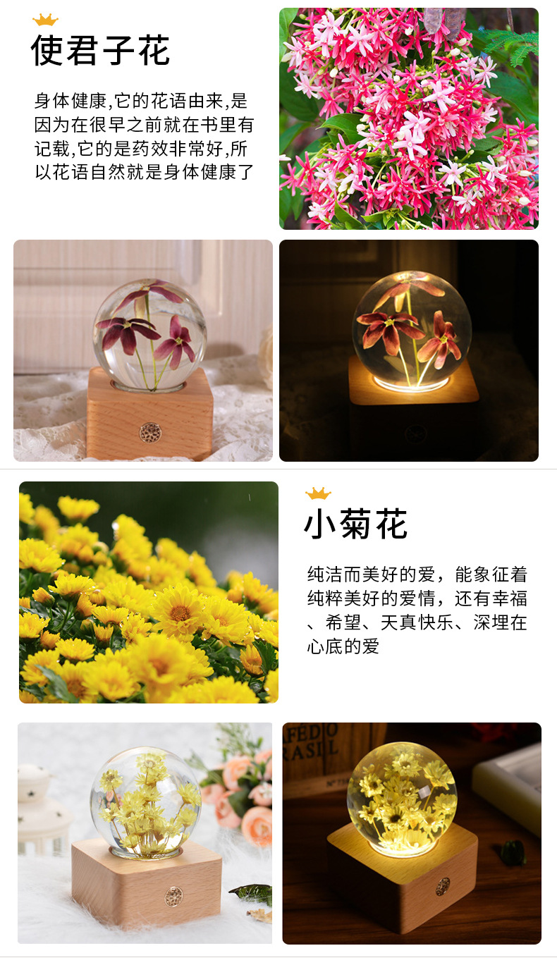 Resin crafts  Specimen Wholesale Creative Crystal Ball Christmas Birthday Decorative Gift Small Night Lamp