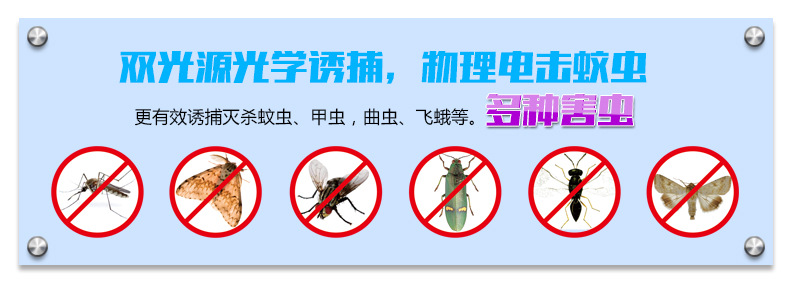 Commercial advertisement mosquito killer lamp energy-saving mosquito repellent device office dining room leisure place Commercial advertisement mosquito killer lamp energy-saving mosquito repellent device office dining room leisure place