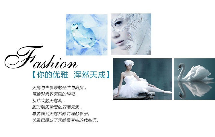 Weihua Temperament Female Ear Studs Wholesale Ladies Small Ear Studs Ear Clip Eardrops Degrees Silver Earrings Crown Swan Stud Earrings