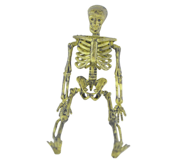 Halloween Decoration and Layout Supplies Ghost Festival Scary Horror Skull Skeleton Decoration Distressed Color Decorative Skeleton Props Halloween Decoration and Layout Supplies Ghost Festival Scary Horror Skull Skeleton Decoration Distressed Color Decorative Skeleton Props