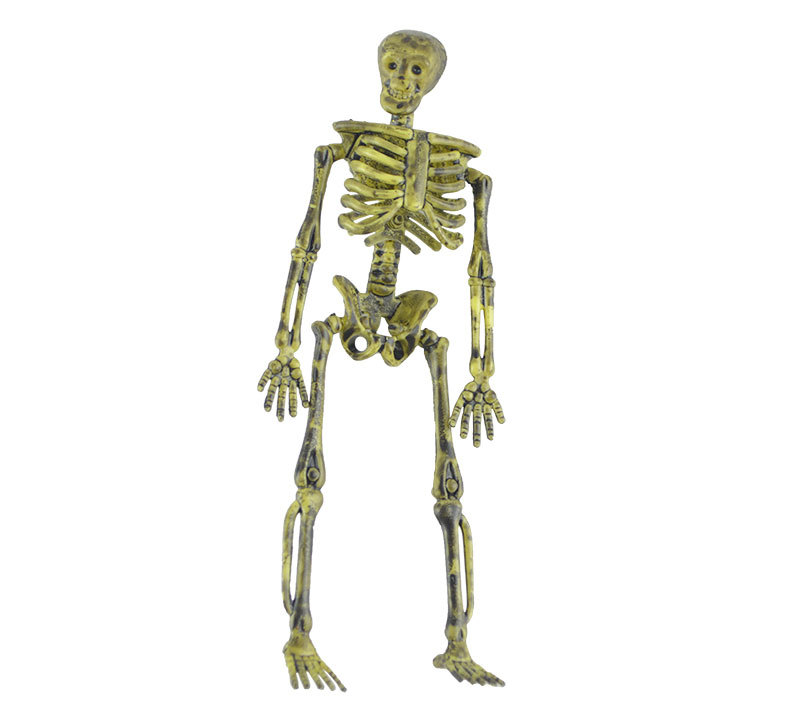 Halloween Decoration and Layout Supplies Ghost Festival Scary Horror Skull Skeleton Decoration Distressed Color Decorative Skeleton Props Halloween Decoration and Layout Supplies Ghost Festival Scary Horror Skull Skeleton Decoration Distressed Color Decorative Skeleton Props