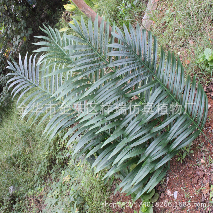 Artificial Coconut Tree Palm Leaf Tropical Green Botanical Garden Engineering Museum Coconut Leaf Fake Kwai Tree Leaf Scattered Leaves