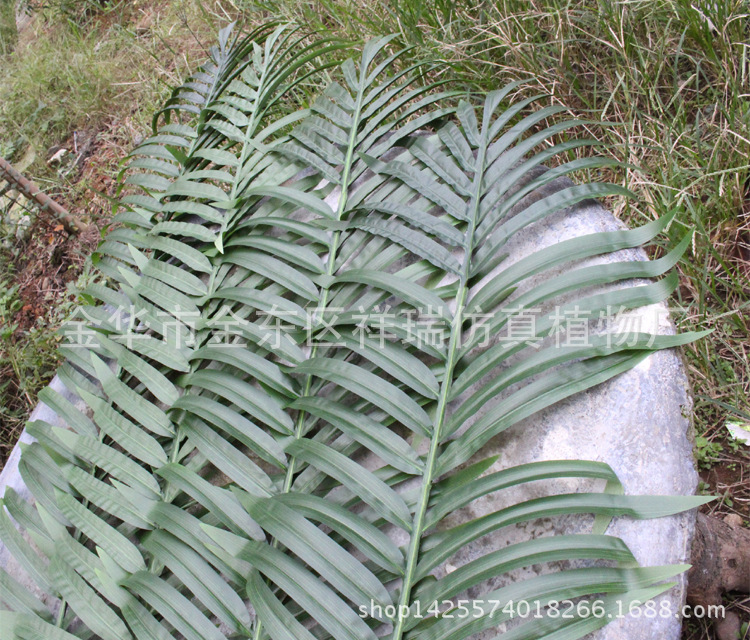 Artificial Coconut Tree Palm Leaf Tropical Green Botanical Garden Engineering Museum Coconut Leaf Fake Kwai Tree Leaf Scattered Leaves
