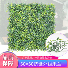 Imitative Tree Plants Green Plants Potted Indoor Living Room Large Artificial Bonsai Floor Ornaments Bird of Paradise Simulation Ravenala