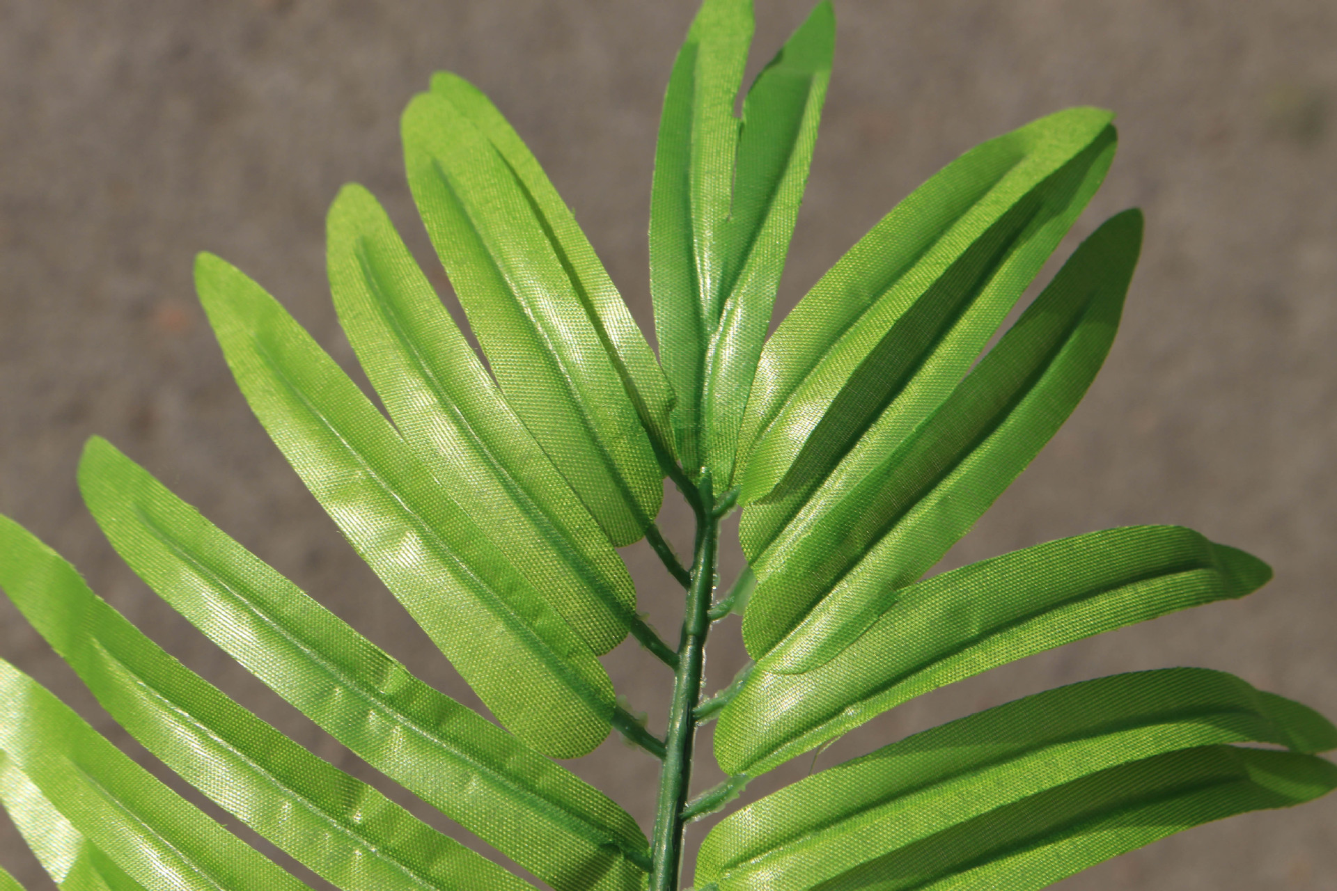 Artificial plant facai tree facai leaves fake tree project landscape indoor office decoration factory wholesale direct sale