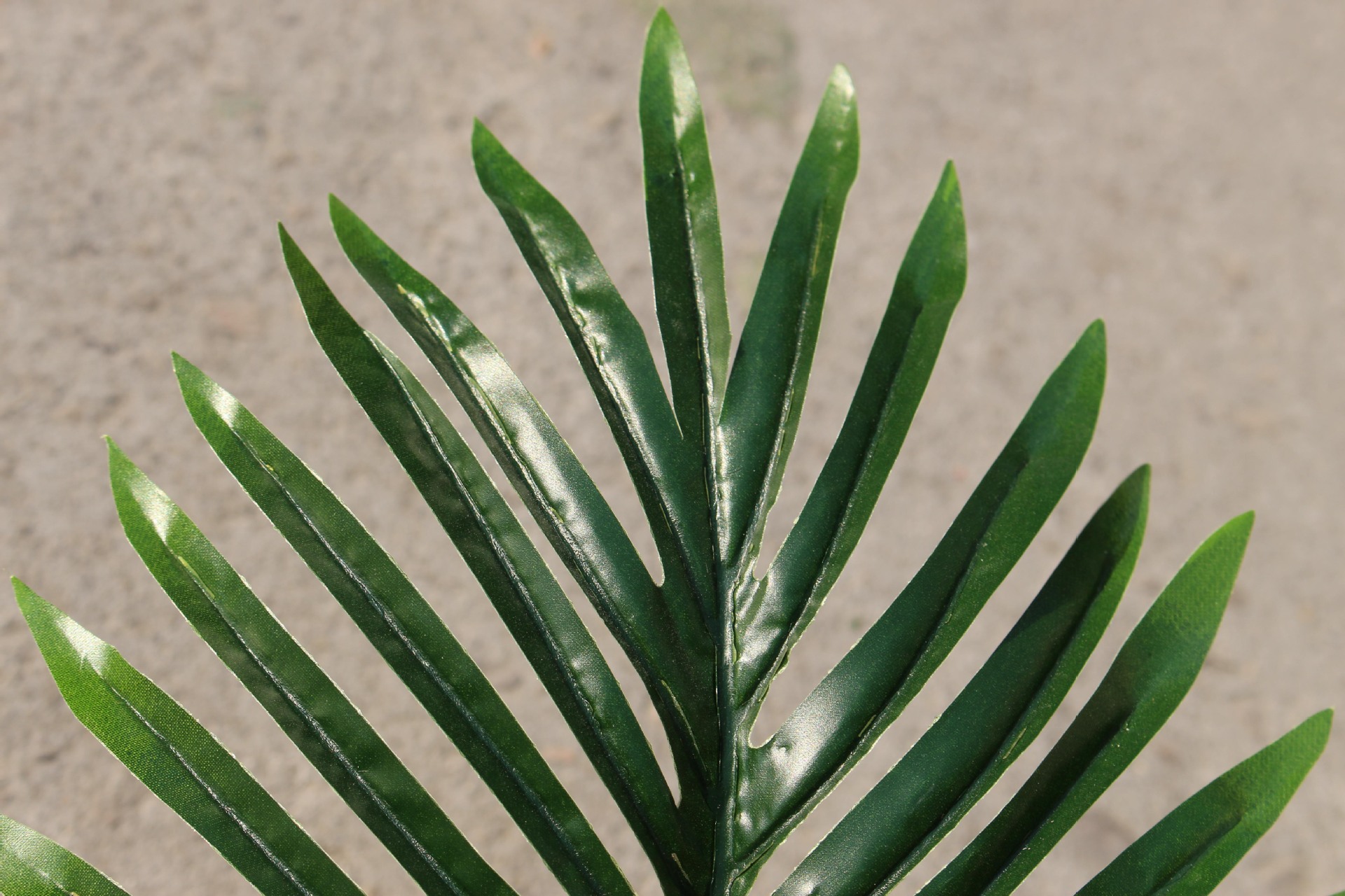 Artificial plant facai tree facai leaves fake tree project landscape indoor office decoration factory wholesale direct sale