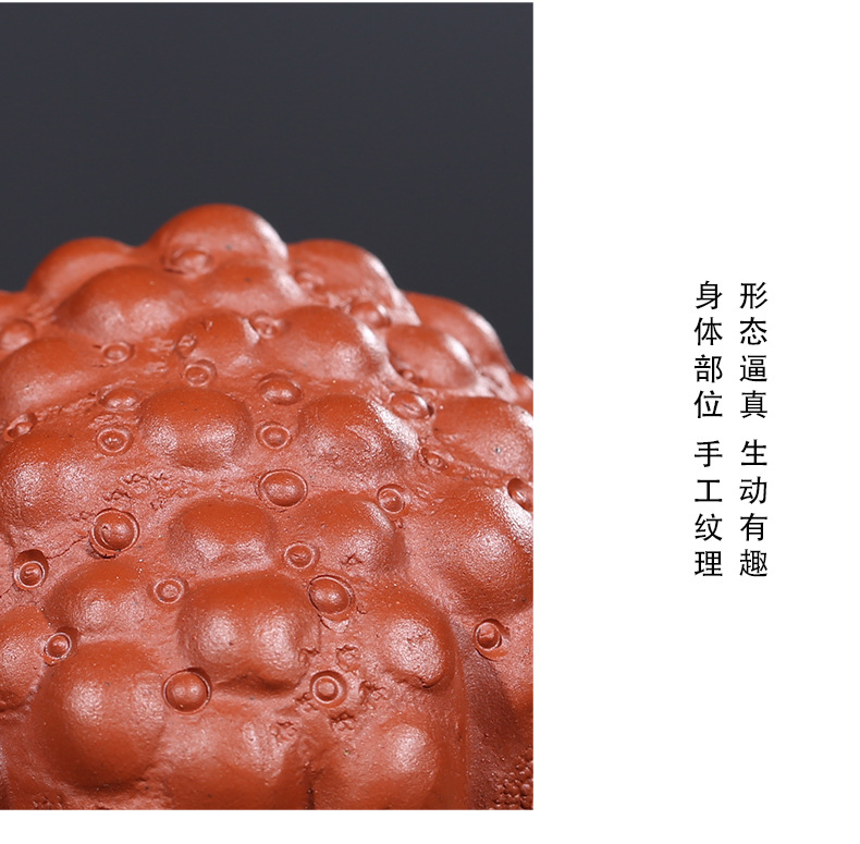 Tea Ornaments May Wealth Come Generously to You Money Drawing ThreeLegged Golden Toad Shipping Tea Ornaments Delivery Tea Ornaments May Wealth Come Generously to You Money Drawing ThreeLegged Golden Toad Shipping Tea Ornaments Delivery