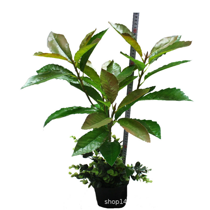 Artificial Plant Oak Leaf Board Millet Tree Summer Oak Leaf Three-Dimensional Branch Green Bar Leaf Green Landscape Engineering Factory Wholesale