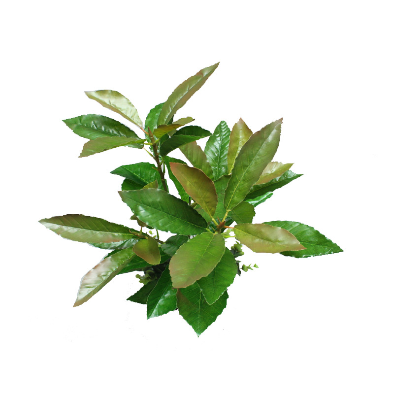 Artificial Plant Oak Leaf Board Millet Tree Summer Oak Leaf Three-Dimensional Branch Green Bar Leaf Green Landscape Engineering Factory Wholesale
