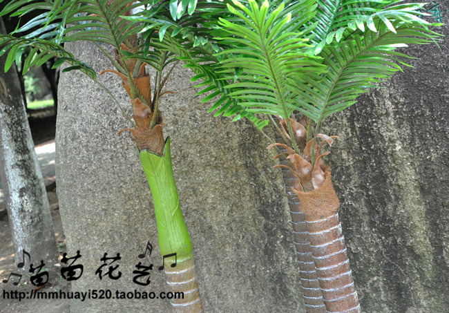 Artificial tree simulation plant manufacturers direct factory to order coconut trees 3 coconut trees.