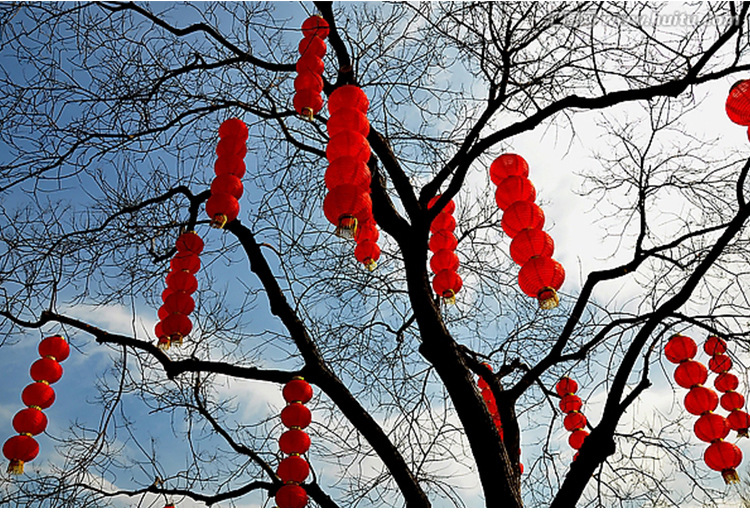 Lantern String Wholesale Steel Wire Led Red Lantern Advertising Lantern Outdoor round Lantern Folding Chinese New Year Decoration Lantern Lantern String Wholesale Steel Wire Led Red Lantern Advertising Lantern Outdoor round Lantern Folding Chinese New Year Decoration Lantern