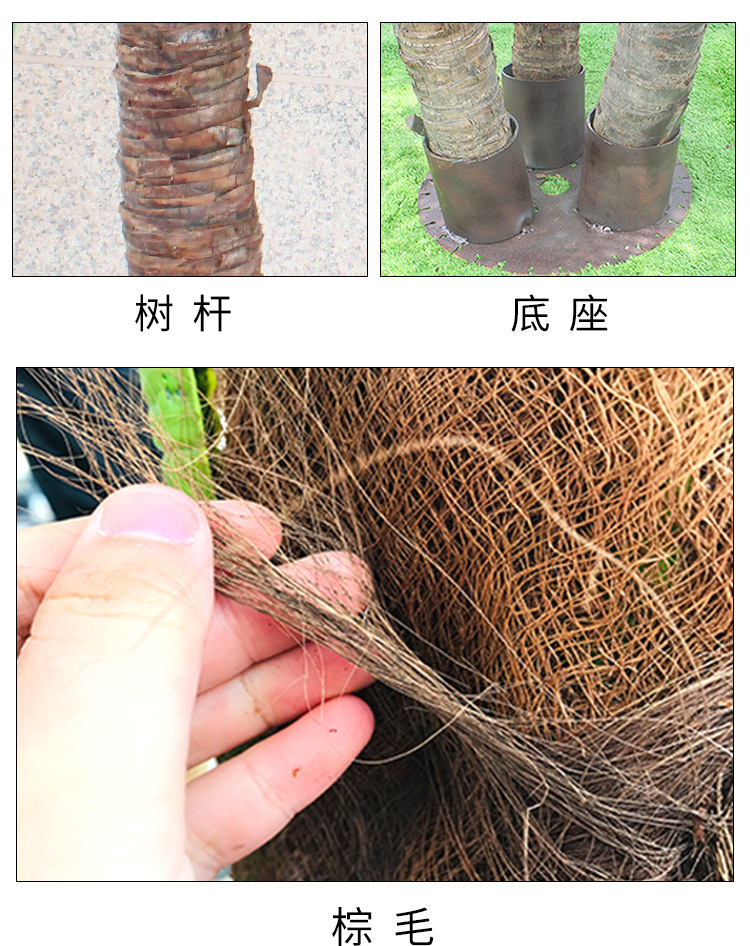 Imitation Coconut Tree Artificial Coconut Tree Indoor and Outdoor Decoration Tropical Plant Large Anti-Real Green Plant Floor Simulation Palm Tree
