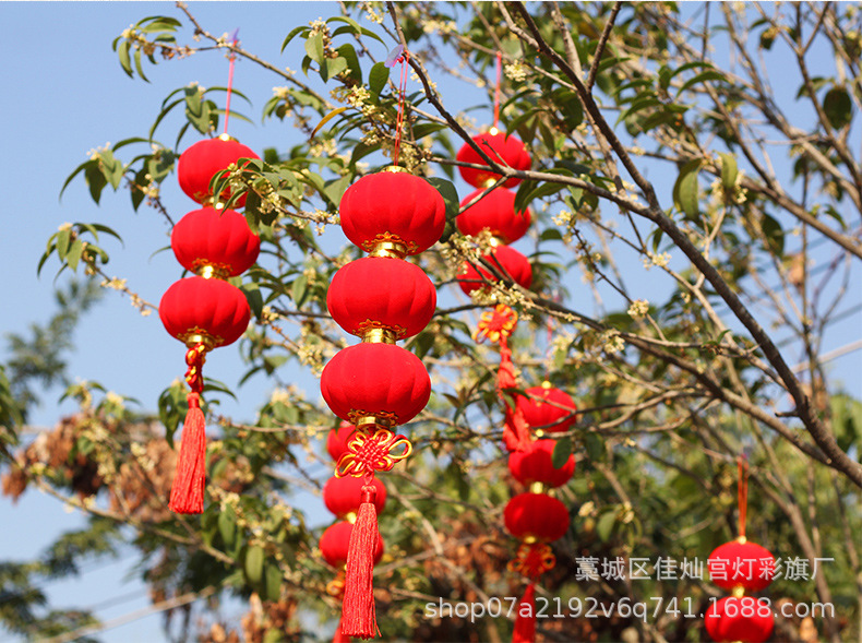Flocking Small Bell Pepper Flannel Lighting Chain Indoor Decorations Chinese New Year Decoration Festive Lantern Bonsai Decorations Wholesale Flocking Small Bell Pepper Flannel Lighting Chain Indoor Decorations Chinese New Year Decoration Festive Lantern Bonsai Decorations Wholesale