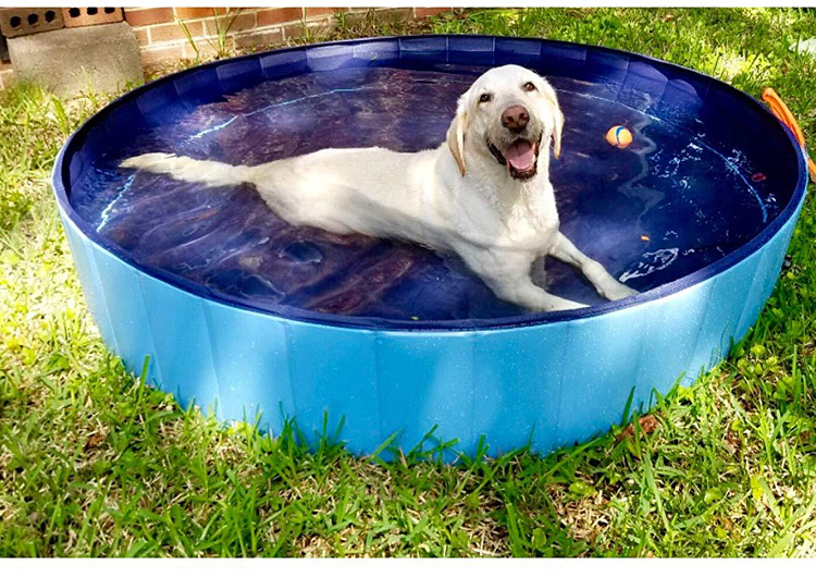Manufacturers Currently Available Pet Bathtub Collapsible Pet Pool PVC Fit for Children Adults Foldable Tub
