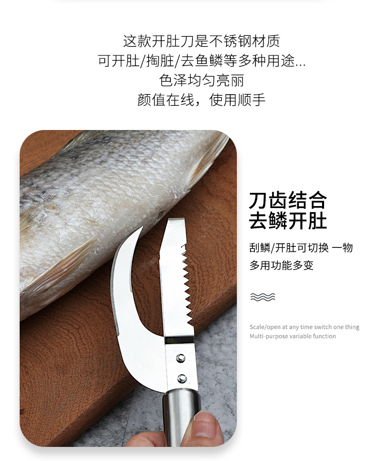Factory Supplier Stainless Steel Fish Maw Knife Kitchen Fish Scale Peeler Open Fish Belly Knife Scales Scraper Replaceable Blade Knife Laser Logo