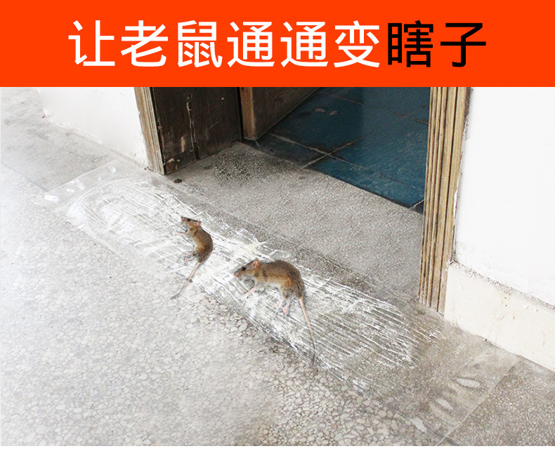 Deratization Magic Carpet Mouse Sticker Mouse Trap Sticker Household Kitchen Transparent Sticky Mouse Tape Rat Trap Mouse Trapping Glue Wholesale