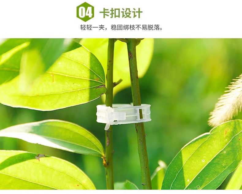 Plant Clips Plastic Tie Tendril Clip Hami Melon Clip Clip for Hanging Vine Vine Clamp Vine Fixed Clip Plant Clips Plastic Tie Tendril Clip Hami Melon Clip Clip for Hanging Vine Vine Clamp Vine Fixed Clip