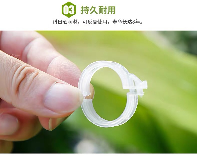 Plant Clips Plastic Tie Tendril Clip Hami Melon Clip Clip for Hanging Vine Vine Clamp Vine Fixed Clip Plant Clips Plastic Tie Tendril Clip Hami Melon Clip Clip for Hanging Vine Vine Clamp Vine Fixed Clip