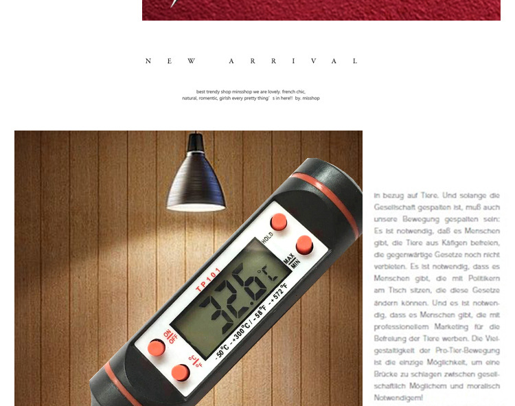 TP101 electronic digital dry-wet thermometer indoor high precision temperature and humidity meter household table
