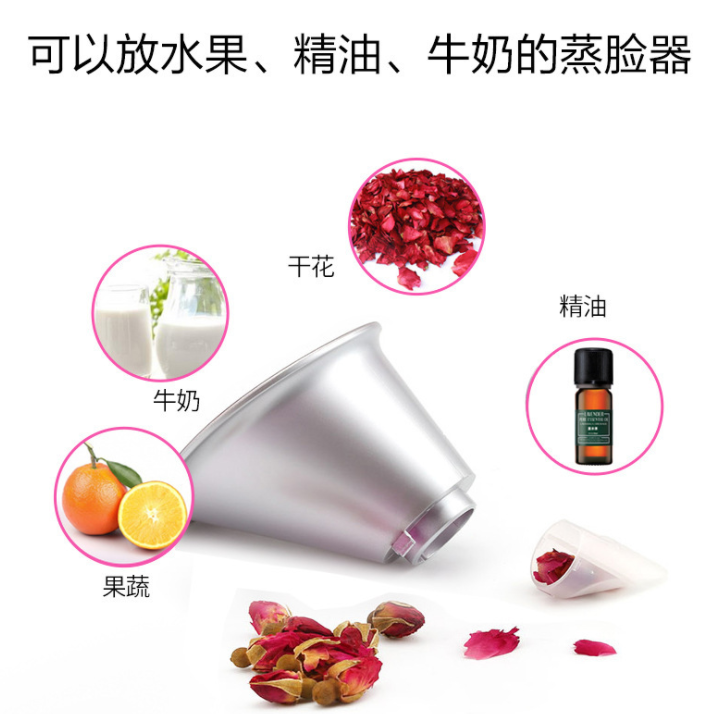 Household Water Replenishing Instrument Sprayer Steam Facial Spray Beauty Instrument