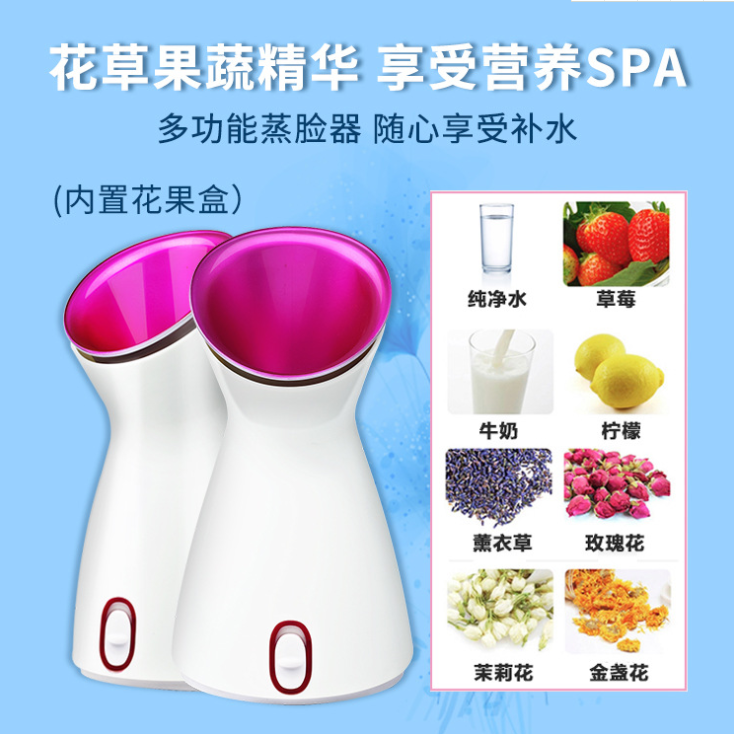 Household Water Replenishing Instrument Sprayer Steam Facial Spray Beauty Instrument