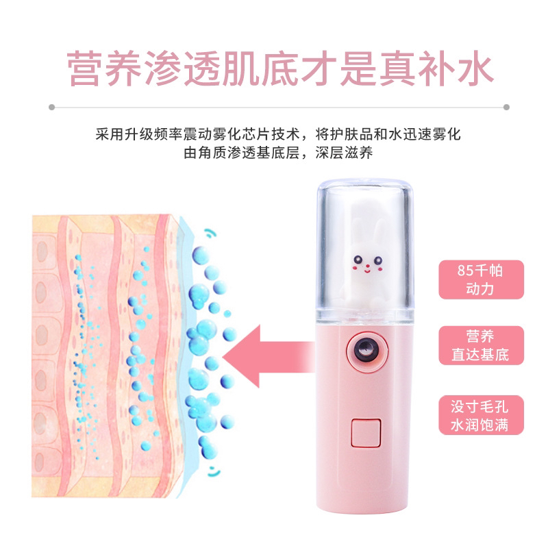 New Cute Pet Humidifier Water Replenishing Instrument USB Rechargeable Portable Cold Spray Mini Humidifier Facial Sprayer Supplement